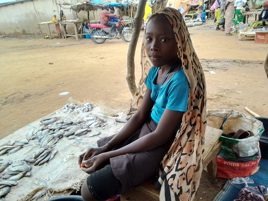 PCCFNTIC –Projet de création des Centres de Formation aux NTIC pour la jeunesse du Logone et Chari.